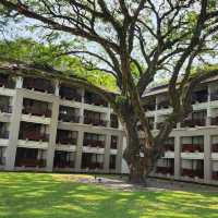 โรงแรม เลอ เมอริเดียน เชียงราย รีสอร์ท 