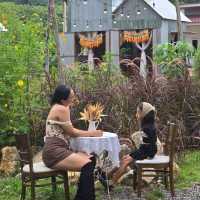 คาเฟ่ระยอง 