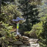 Conquering Yushan Main Peak: A Thrilling Dayhike Adventure