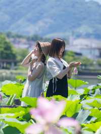 無料【穴場スポット】蓮の絶景無料スポット˚˖𓍢ִ︎✿❁﻿✧˚平池緑地公園