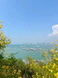 city coffee pattaya