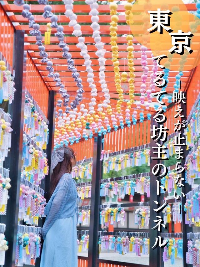 梅雨だから見れる"無料"の映えスポット✨見逃すなであります🫡