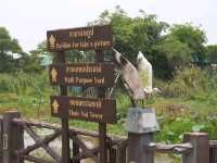 ศูนย์ศึกษาธรรมชาติและสัตว์ป่าทะเลน้อย จ.พัทลุง