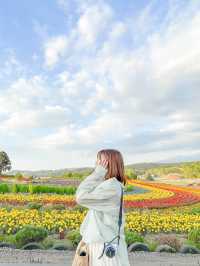 【無料】映え旅スポット🌻