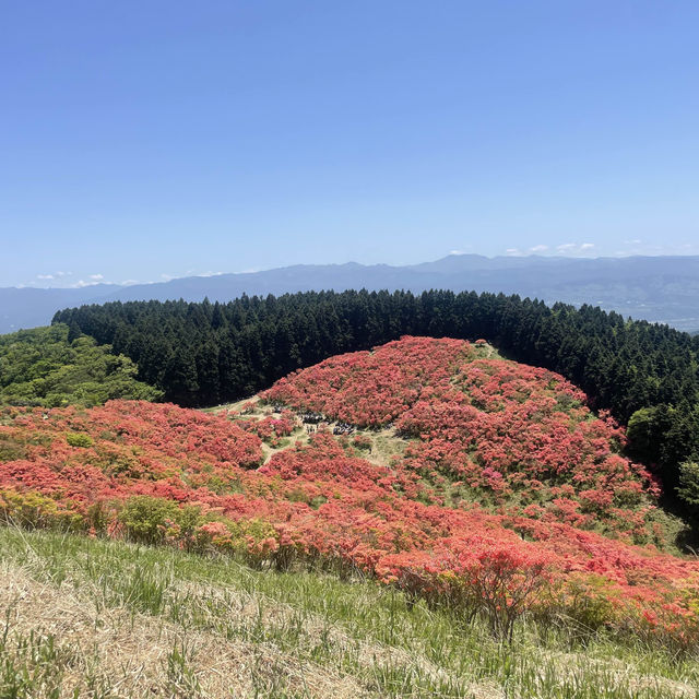 ツツジの綺麗なお勧め登山先