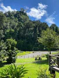 Danum Valley Conservation Area