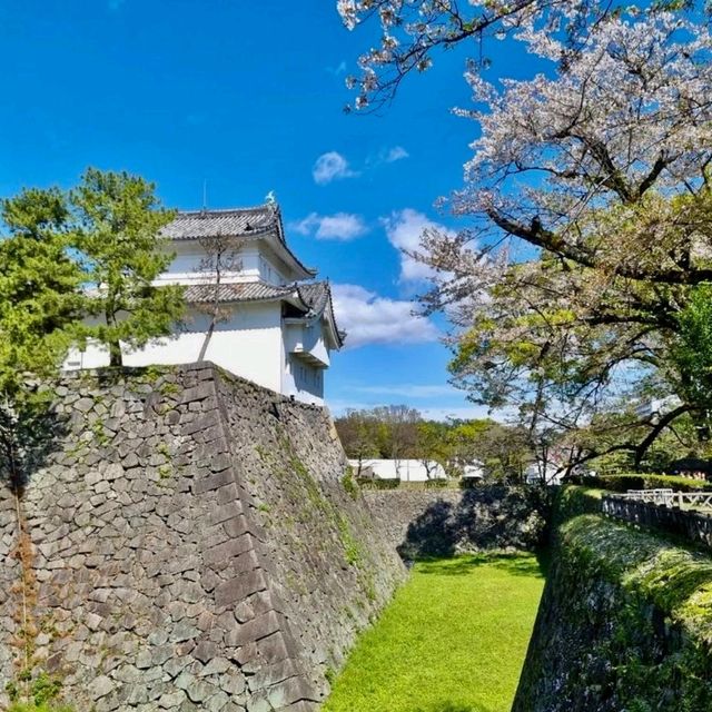 나고야 성 (Nagoya Castle) - "역사의 숨결을 느낄 수 있는 웅장한 성"