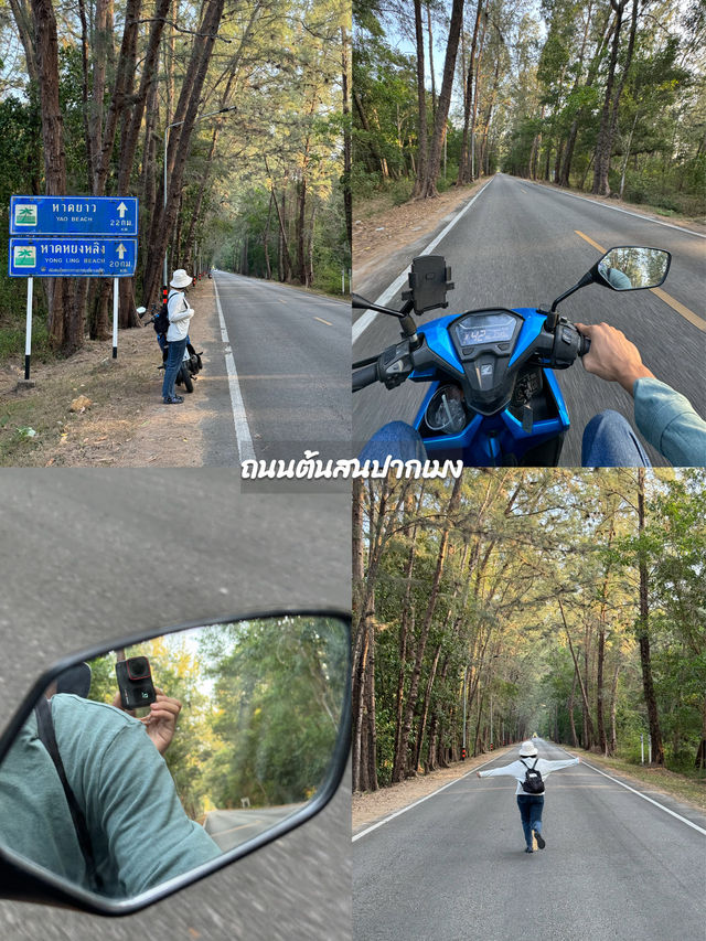 5 พิกัดวันเดย์ทริปทะเลปากเมง จ.ตรัง ⛰️☀️🌲🌊