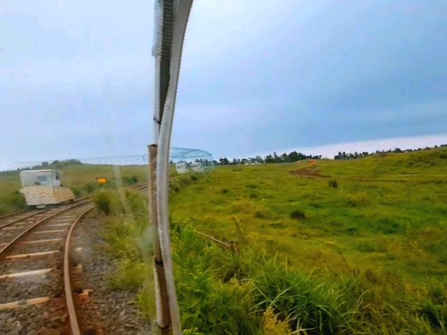 제주도 여행 필수 코스! : 한라수목원🌿
