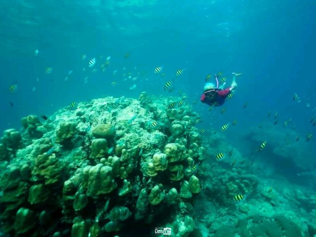 เกาะสุรินทร์ ใสใส วัยรุ่นชอบ