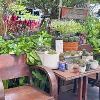 📌🏡 plearn cafe bangpu - เพลินคาเฟ่บางปู