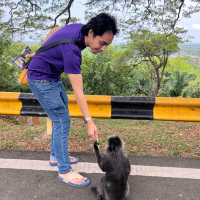 Make new friends 