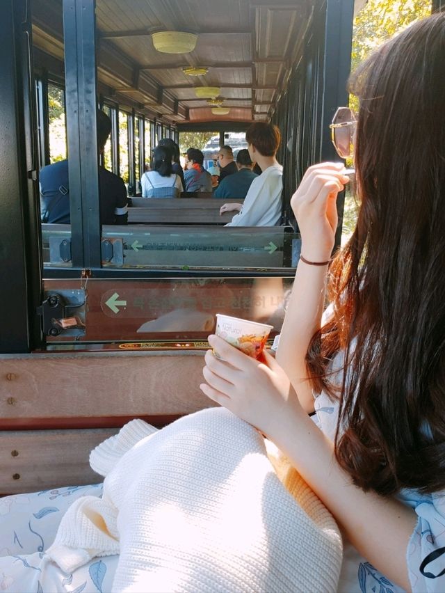 제주 여행 필수코스~! 에코랜드 테마파크🏞