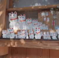東京豪德寺｜貓奴不能錯過的招財貓神社