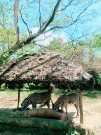 【バリ島】可愛い動物に沢山出会えるサファリ&マリンパーク