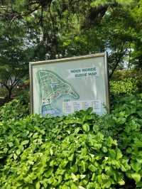 여름꽃 즐기며 산책하기좋은 장성 루몽드수목원💚