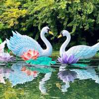 Explore Dragon Boat Adventures near Singapore’s Jurong Lake!