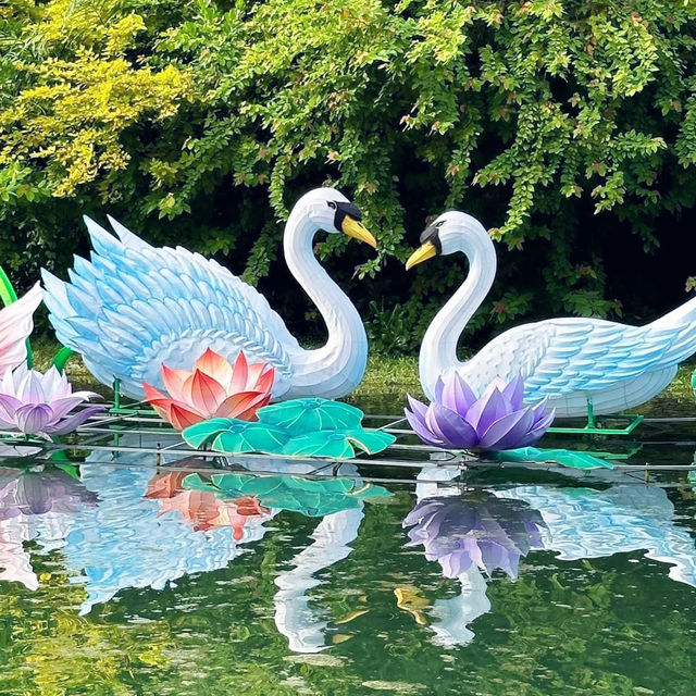 Explore Dragon Boat Adventures near Singapore’s Jurong Lake!