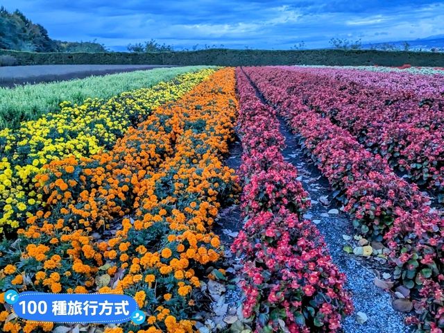日本北海道-四季花田與雪山織成的美景：富田農場