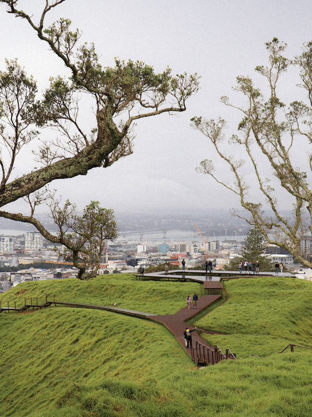 紐西蘭🇳🇿｜奧克蘭必訪的死火山—艾登山（Mount Eden） 