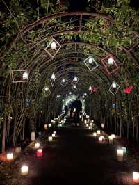 【熊本観光】復興を願うキャンドルの灯りに癒された🕯✨️