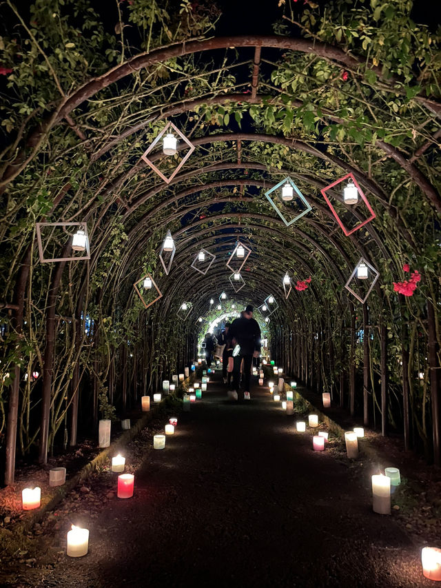【熊本観光】復興を願うキャンドルの灯りに癒された🕯✨️