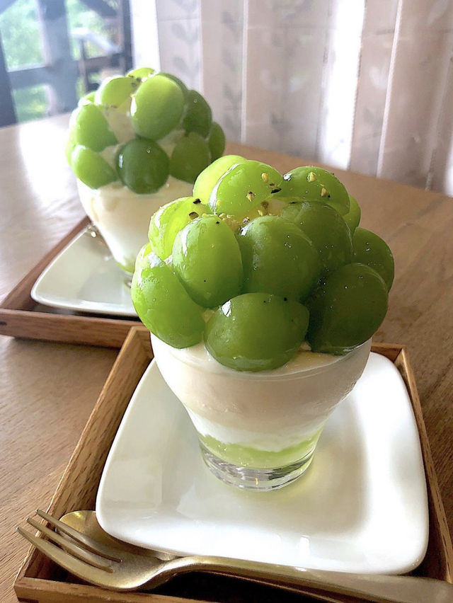 【福岡カフェ】緑に囲まれた景色がいいカフェ🌳✨️