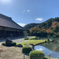 Zen Serenity at Tenryu-ji Temple in Kyoto