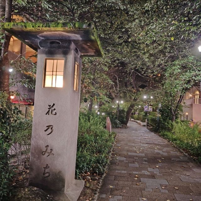 宝冢的早晨🌞