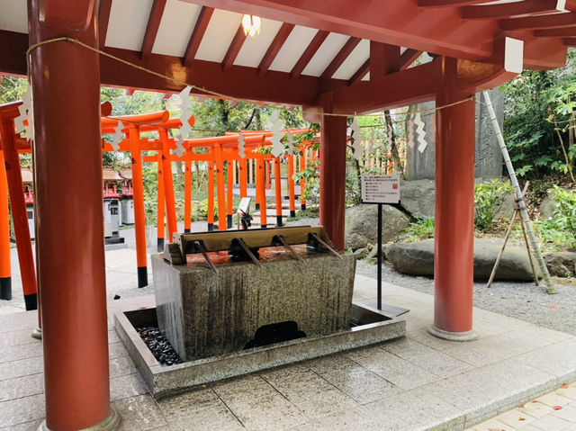 熱海観光　来宮神社