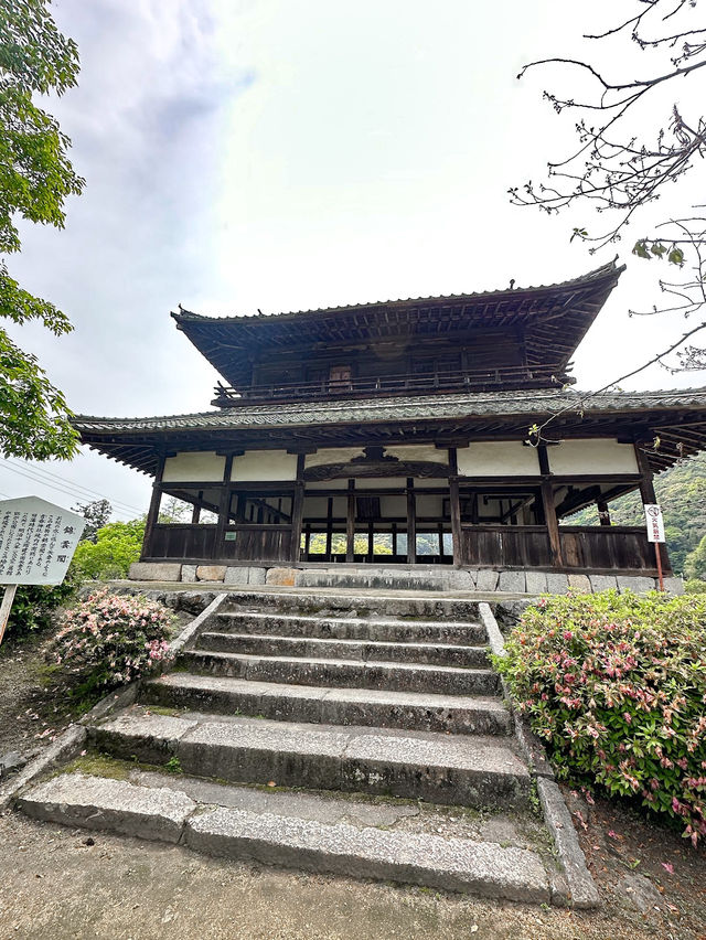 Kikko Park 