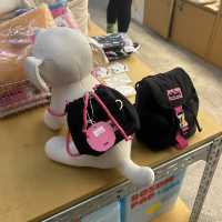 【韓国/弘大】つい買いすぎるワンコのお店🐶♡