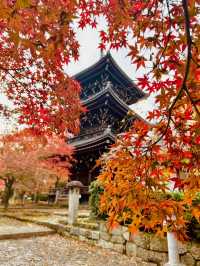 <京都 真如堂> 千年古都賞楓秘境
