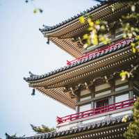 Sendai Backpacking Itinerary: 3 Days in the City of Trees