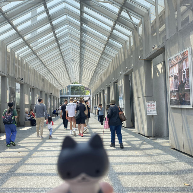 台北探索之旅：從迪化街到北投溫泉的美好時光