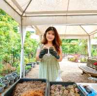 รีสอร์ทเขาใหญ่ La Cocotte Villa & Farm Khao Yai 