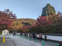 <京都 永觀堂>  🇯🇵楓葉女王的聖殿