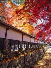 【長野県】長円寺