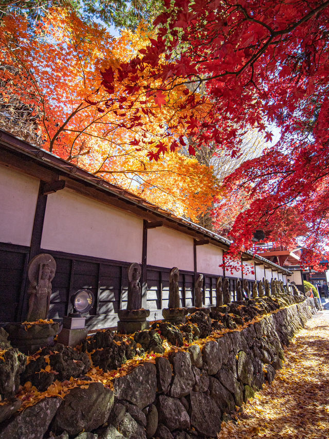 【長野県】長円寺