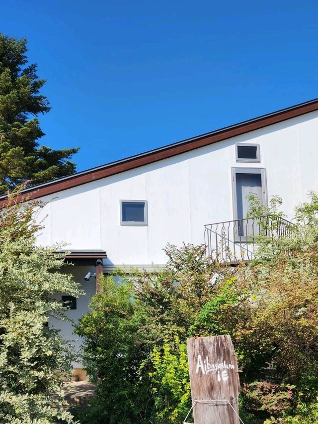 【山口グルメ】萩市・Cafegallery藍場川の家