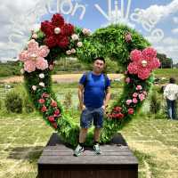 兩韓非軍事🈲區探秘㊙️
