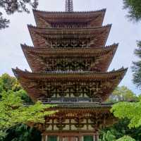 【京都】神社仏閣巡り 世界遺産醍醐寺を巡る