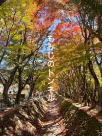 【山梨】富士山のほとりで秋満喫🍂