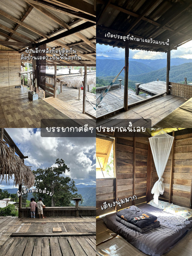 🏠กำเงินคนละ 799 พักบ้านฝ้ายโฮมสเตย์ ห้วยกุ๊บกั๊บ