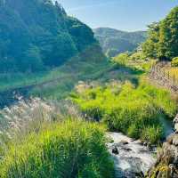 檜木內川河川綠地：自然與完美融合 🌳💧