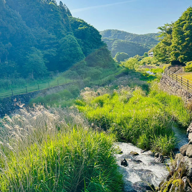 檜木內川河川綠地：自然與完美融合 🌳💧