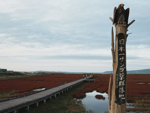 北海道-道東自駕遊