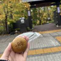 【北海道】紅葉がきれいな温泉地🍁