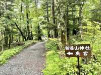 【山梨県】日本三大金運神社の1社で金運を上げてくれる場所