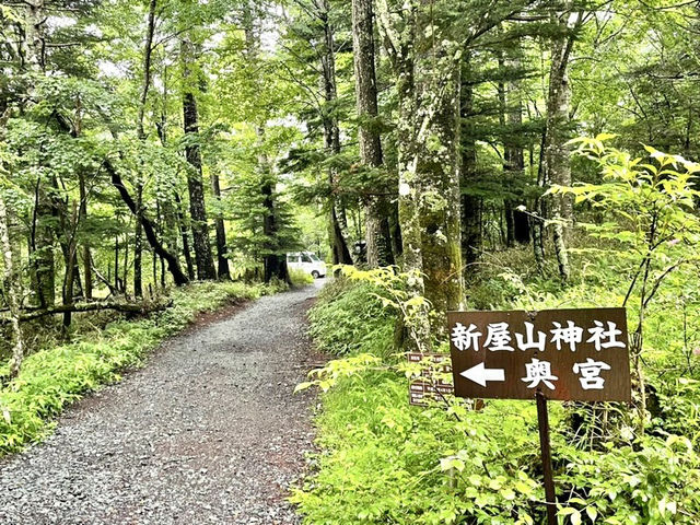 【山梨県】日本三大金運神社の1社で金運を上げてくれる場所